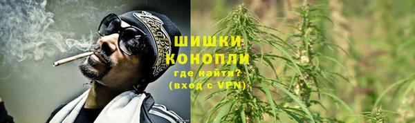 MDMA Новозыбков