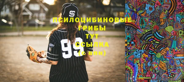 MDMA Новозыбков
