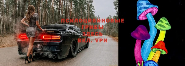 ешки Нея