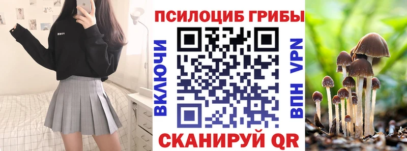 Псилоцибиновые грибы Psilocybe купить цена это как зайти Калачинск